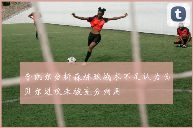 李凯尔分析森林狼战术不足认为戈贝尔进攻未被充分利用