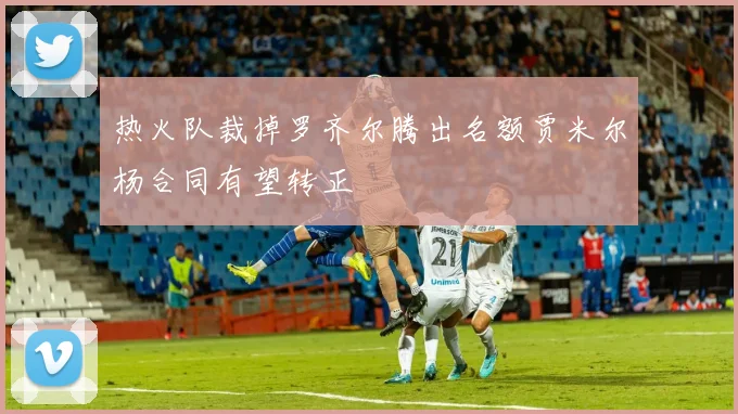 热火队裁掉罗齐尔腾出名额贾米尔杨合同有望转正